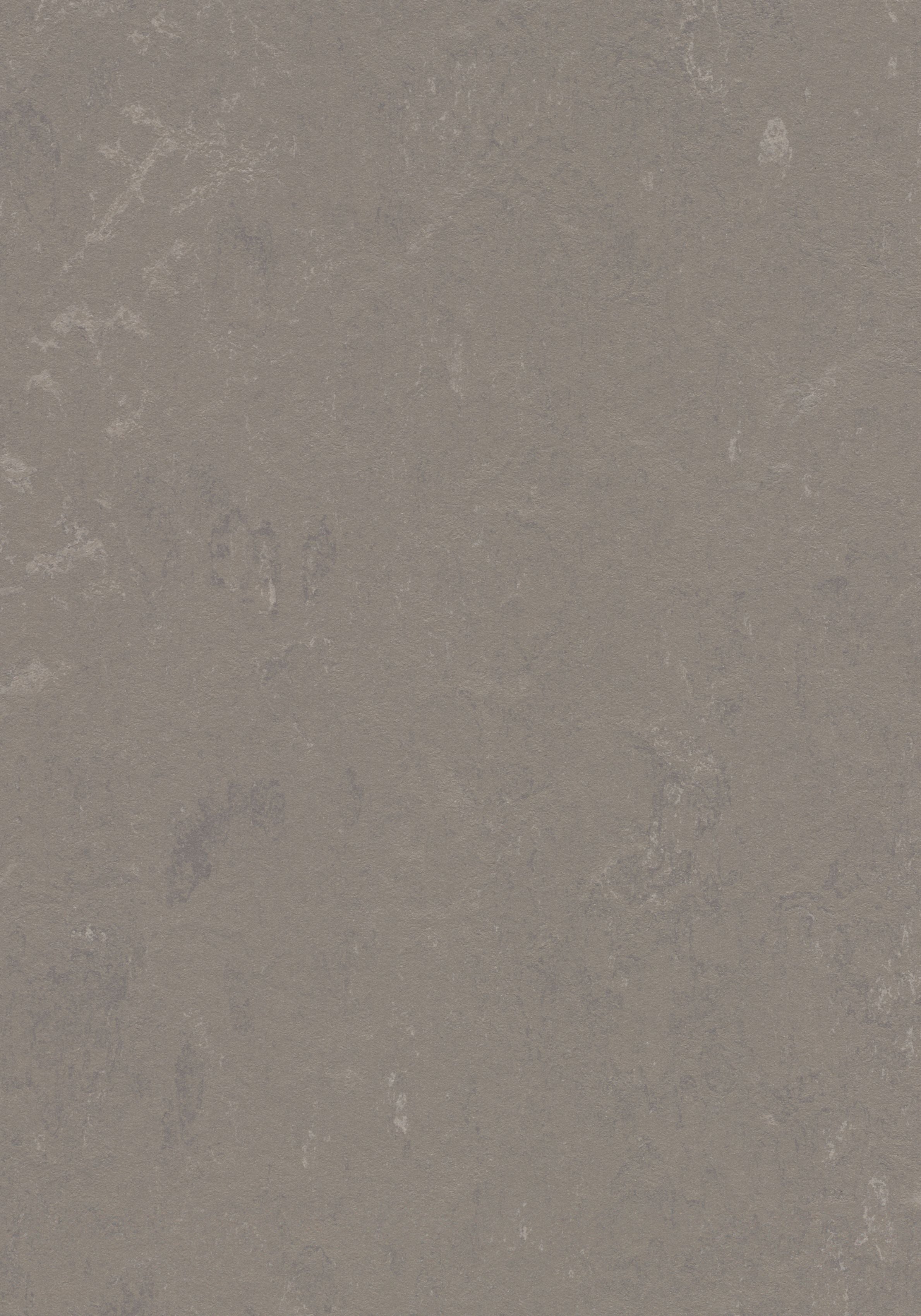 Linoleum - Marmoleum Click | Concrete - Liquid Clay