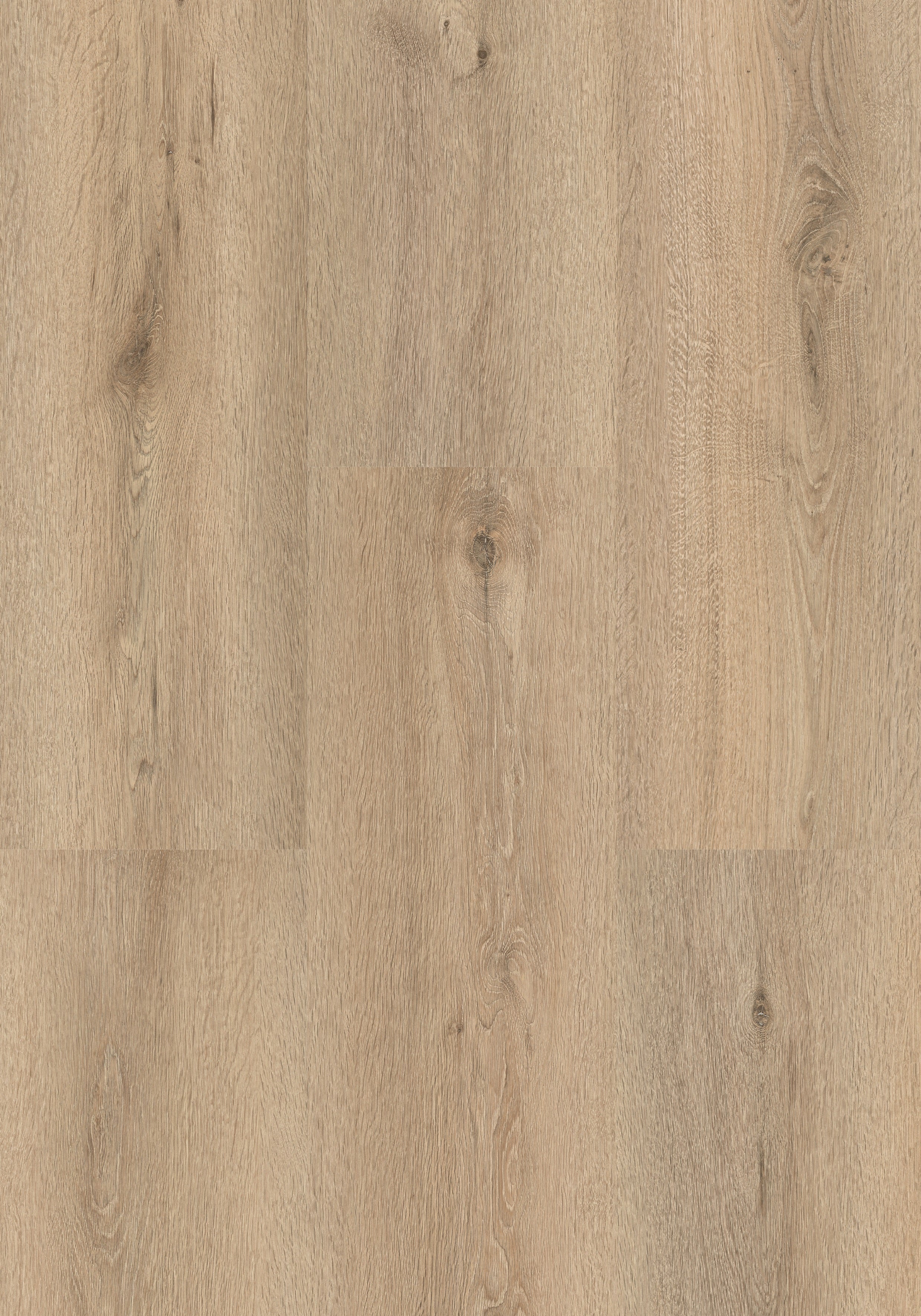 Natural Life ® | La Fava